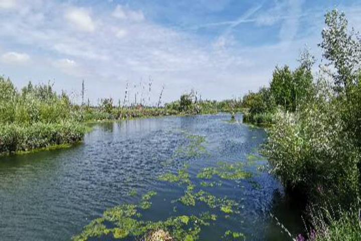 Groepsreis: 5-daagse wandelvakantie 'light' Noord -Brabant